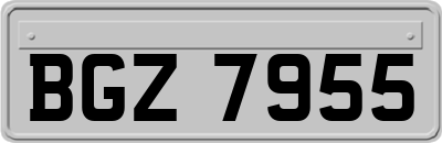 BGZ7955