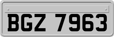 BGZ7963