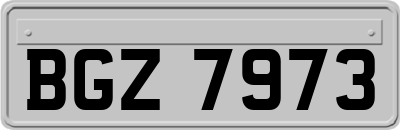 BGZ7973