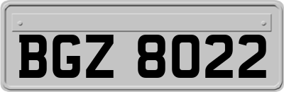 BGZ8022