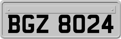 BGZ8024