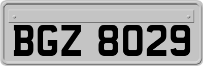 BGZ8029
