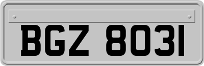 BGZ8031