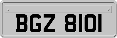 BGZ8101