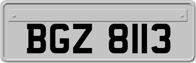 BGZ8113
