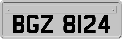 BGZ8124