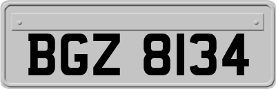 BGZ8134