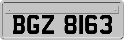 BGZ8163