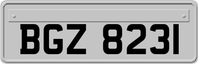 BGZ8231