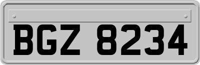 BGZ8234