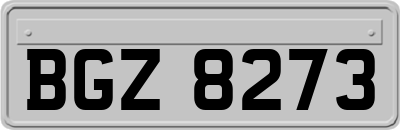 BGZ8273