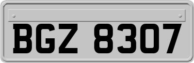 BGZ8307