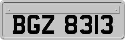 BGZ8313