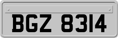 BGZ8314