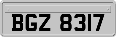 BGZ8317