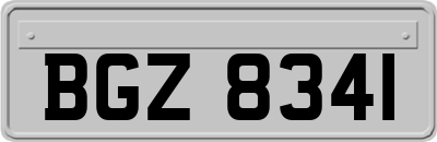 BGZ8341