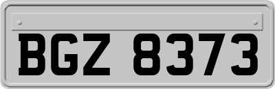 BGZ8373