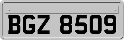 BGZ8509