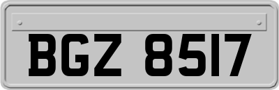 BGZ8517