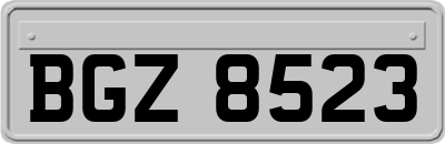 BGZ8523