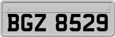 BGZ8529