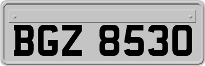 BGZ8530
