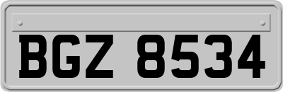 BGZ8534