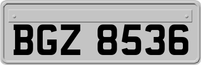 BGZ8536