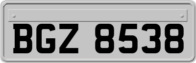 BGZ8538