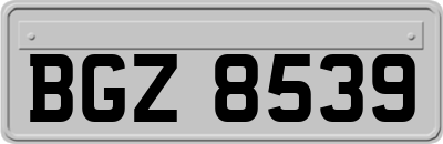 BGZ8539
