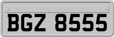 BGZ8555