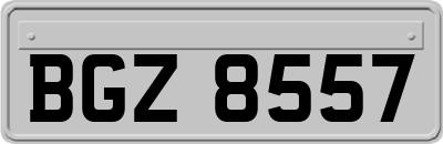 BGZ8557