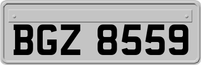 BGZ8559