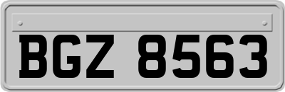 BGZ8563