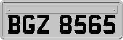 BGZ8565