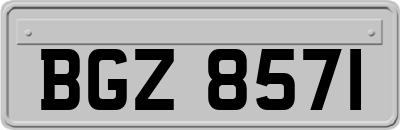 BGZ8571
