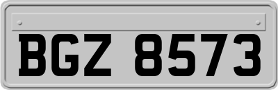 BGZ8573