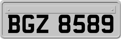 BGZ8589