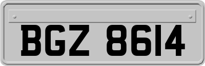 BGZ8614