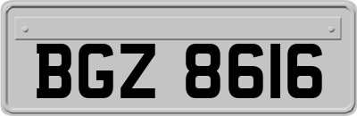 BGZ8616