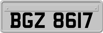 BGZ8617