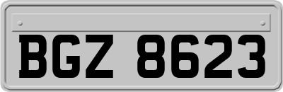 BGZ8623