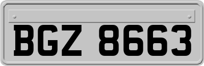 BGZ8663