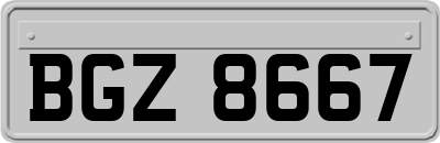BGZ8667