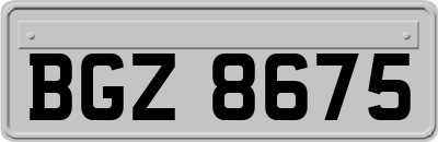 BGZ8675