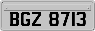 BGZ8713