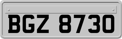 BGZ8730