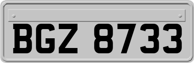 BGZ8733