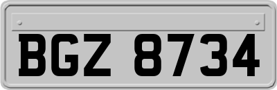 BGZ8734