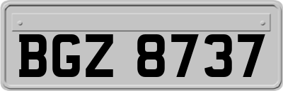 BGZ8737
